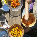 Overhead view of workshop attendee sorting flowers for natural dyeing